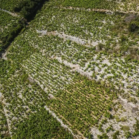 Potocinarka Appartement