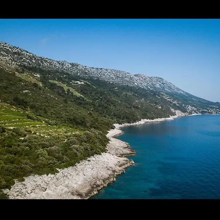 Potocinarka * Potomje