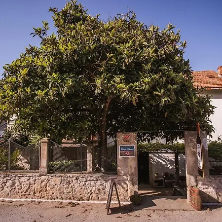 Potocinarka