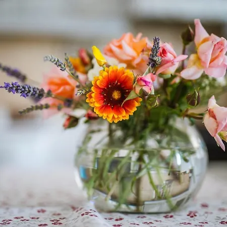 Potocinarka Appartement Potomje