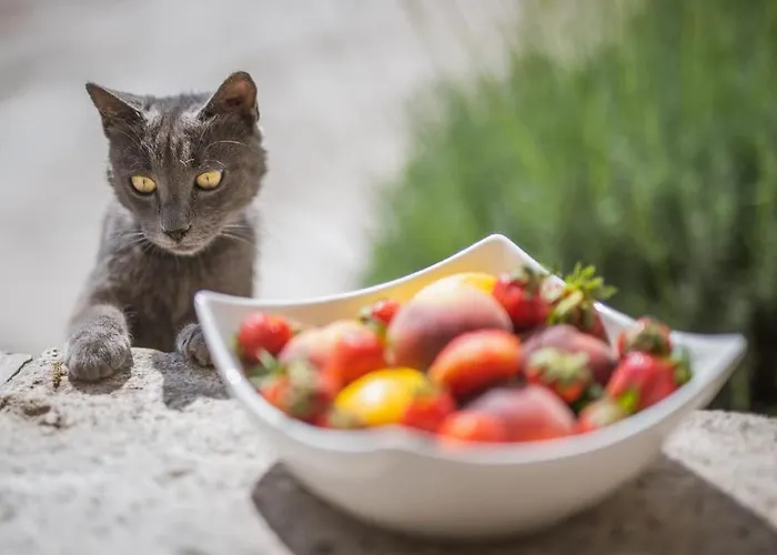 Apartamento Potocinarka Potomje