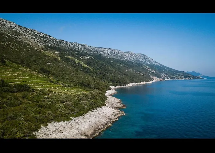 Potocinarka * Potomje