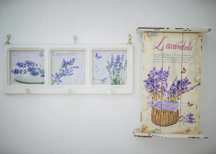 Potocinarka Apartamento *