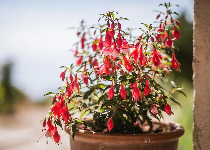 Potocinarka * Potomje