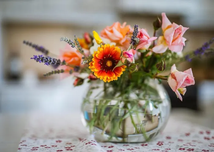 Potocinarka Apartamento Potomje